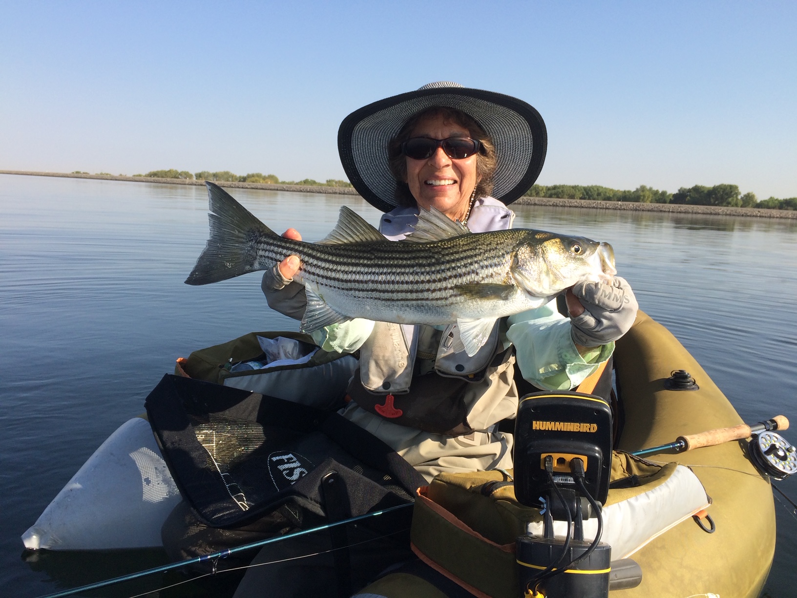 All About Striped Bass - Fly Fisherman