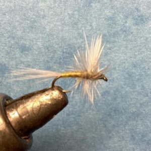 BWO Thorax Style